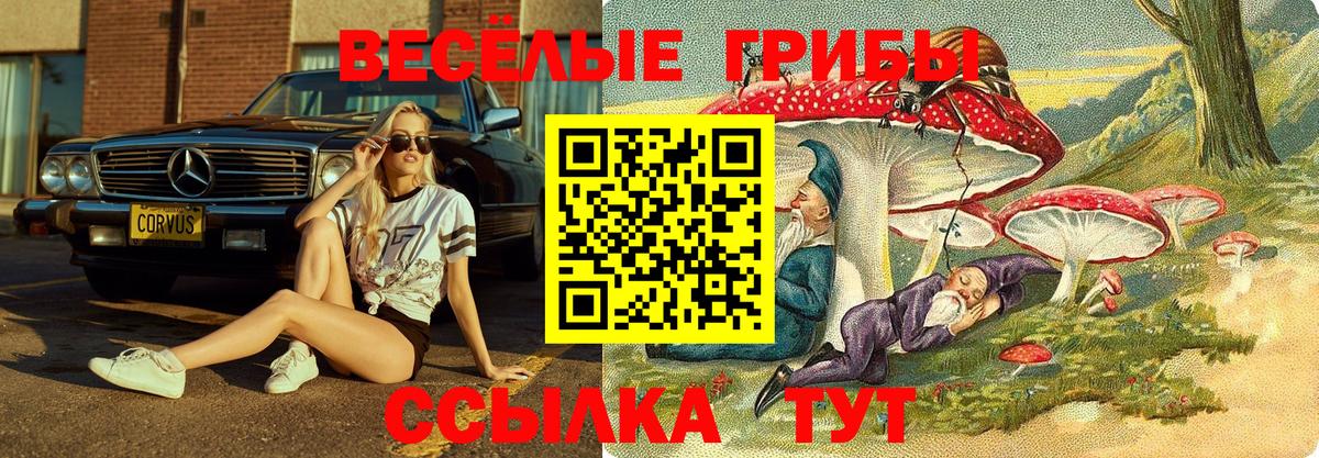 Галлюциногенные грибы MAGIC MUSHROOMS  Вход с VPN  Нерюнгри 